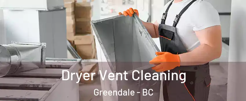 Dryer Vent Cleaning Greendale - BC
