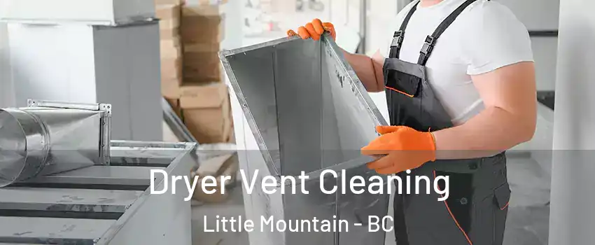 Dryer Vent Cleaning Little Mountain - BC