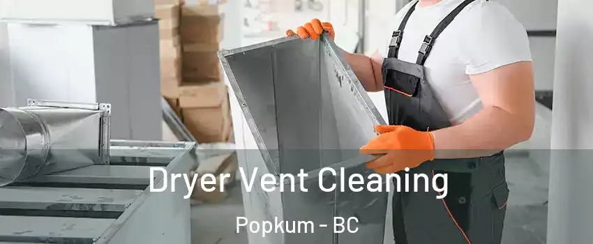 Dryer Vent Cleaning Popkum - BC