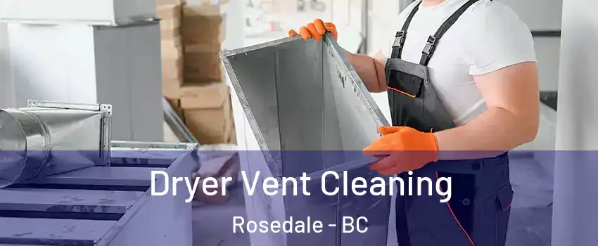 Dryer Vent Cleaning Rosedale - BC