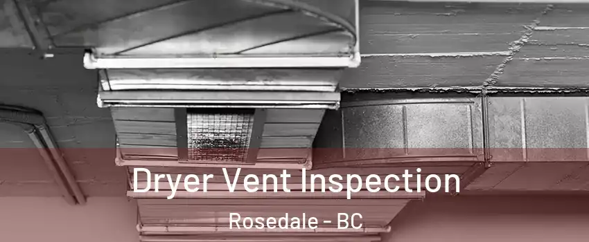 Dryer Vent Inspection Rosedale - BC