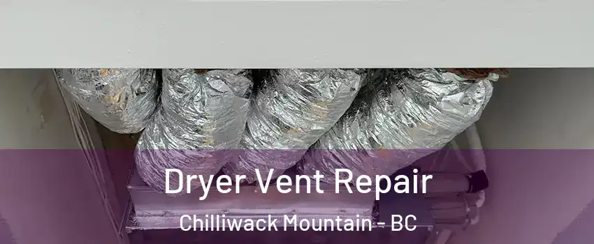 Dryer Vent Repair Chilliwack Mountain - BC