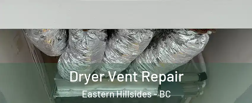 Dryer Vent Repair Eastern Hillsides - BC