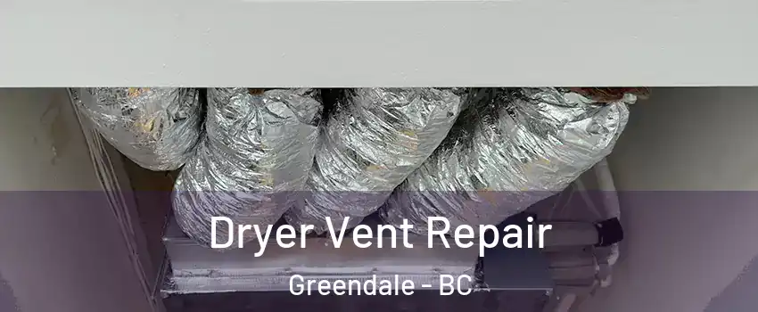  Dryer Vent Repair Greendale - BC