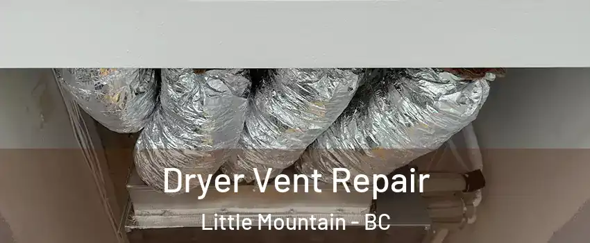  Dryer Vent Repair Little Mountain - BC