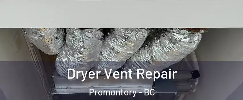 Dryer Vent Repair Promontory - BC