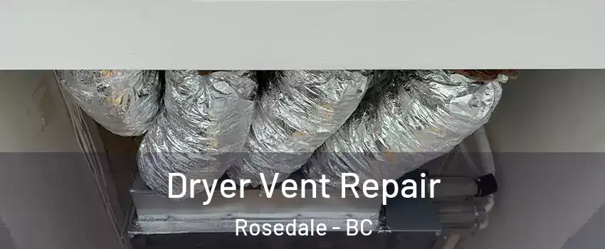 Dryer Vent Repair Rosedale - BC