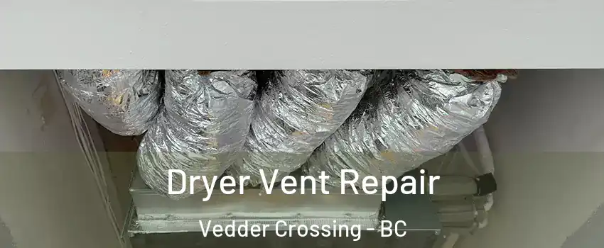  Dryer Vent Repair Vedder Crossing - BC