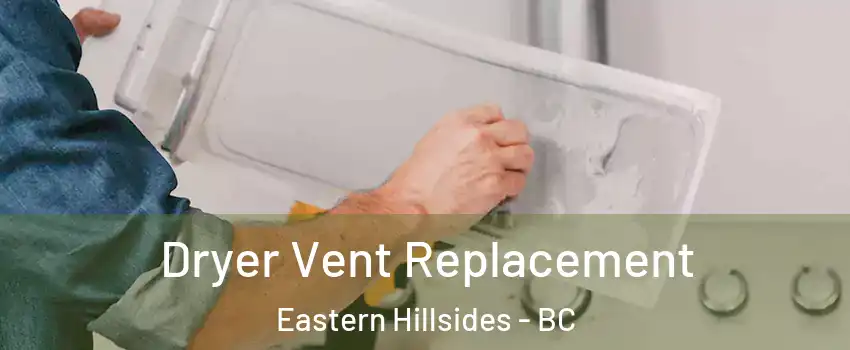 Dryer Vent Replacement Eastern Hillsides - BC