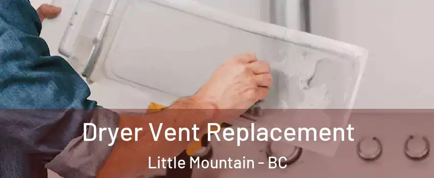 Dryer Vent Replacement Little Mountain - BC