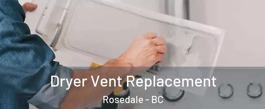 Dryer Vent Replacement Rosedale - BC