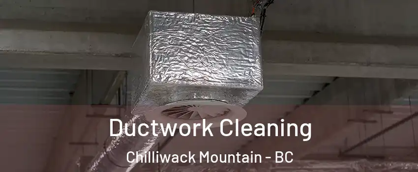 Ductwork Cleaning Chilliwack Mountain - BC