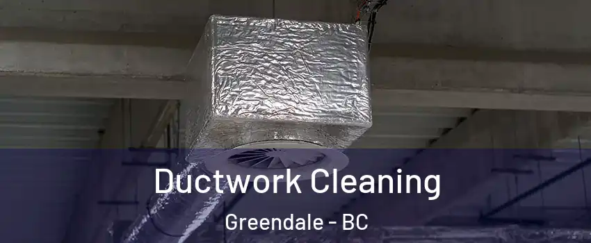 Ductwork Cleaning Greendale - BC
