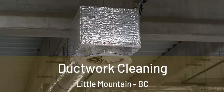 Ductwork Cleaning Little Mountain - BC