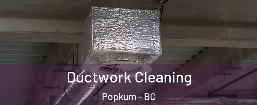 Ductwork Cleaning Popkum - BC