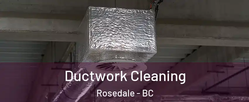 Ductwork Cleaning Rosedale - BC