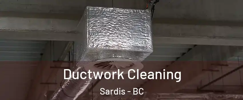 Ductwork Cleaning Sardis - BC