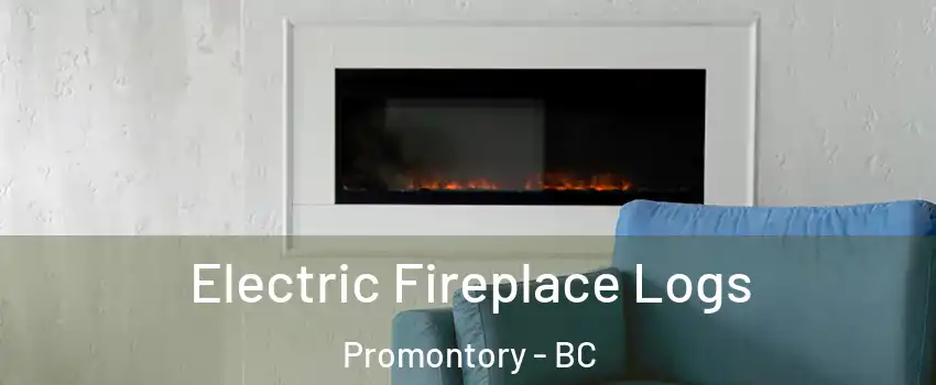 Electric Fireplace Logs Promontory - BC