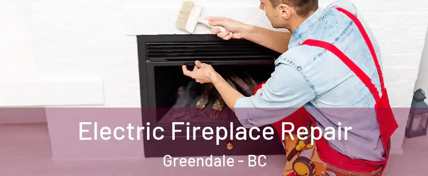 Electric Fireplace Repair Greendale - BC