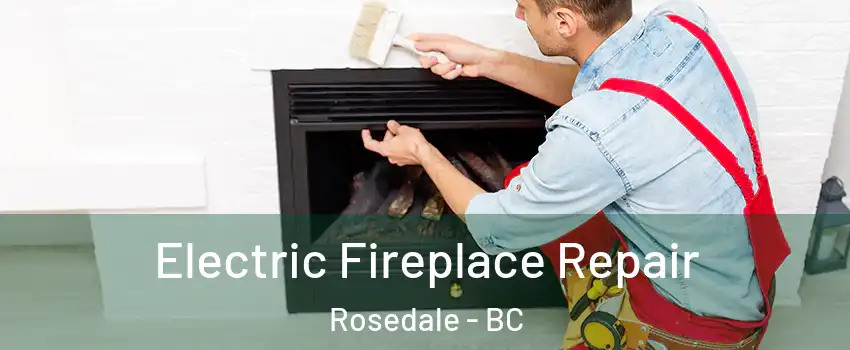 Electric Fireplace Repair Rosedale - BC
