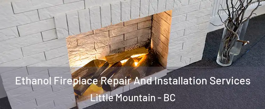 Ethanol Fireplace Repair And Installation Services Little Mountain - BC