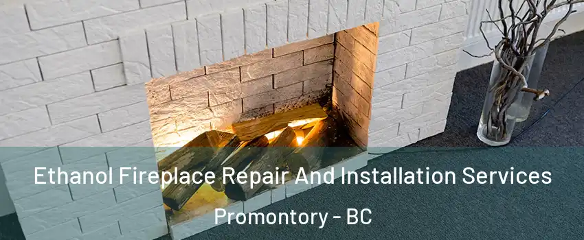 Ethanol Fireplace Repair And Installation Services Promontory - BC
