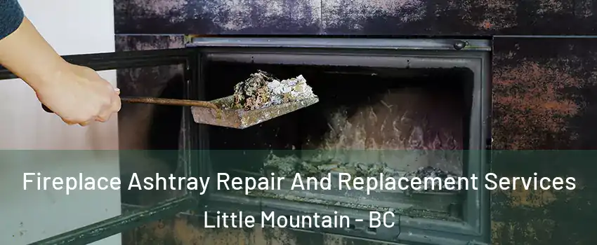Fireplace Ashtray Repair And Replacement Services Little Mountain - BC