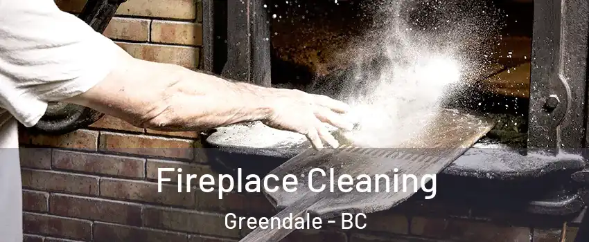 Fireplace Cleaning Greendale - BC