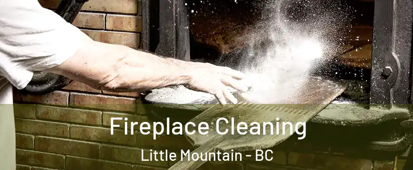 Fireplace Cleaning Little Mountain - BC