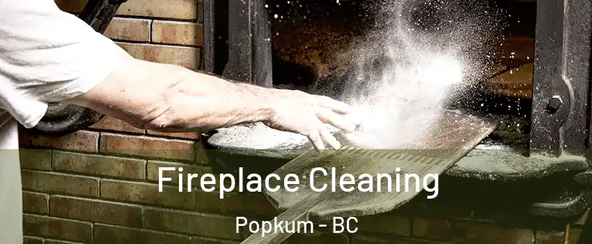 Fireplace Cleaning Popkum - BC