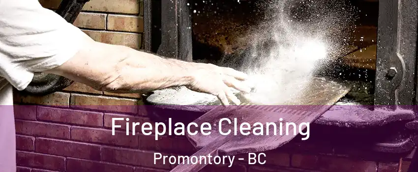 Fireplace Cleaning Promontory - BC