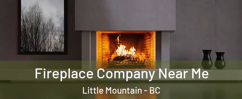 Fireplace Company Near Me Little Mountain - BC