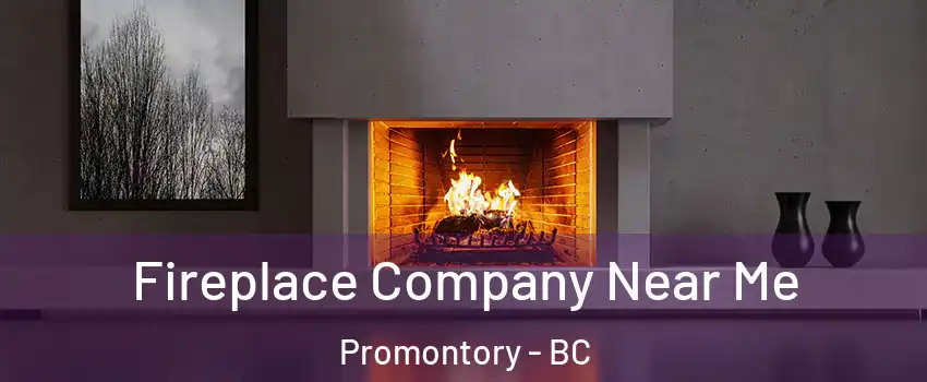 Fireplace Company Near Me Promontory - BC