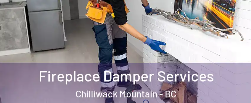 Fireplace Damper Services Chilliwack Mountain - BC