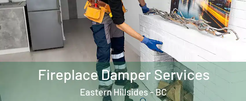 Fireplace Damper Services Eastern Hillsides - BC