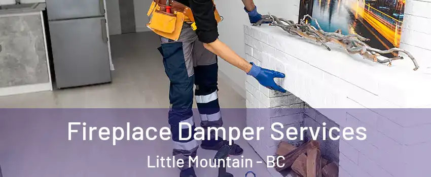 Fireplace Damper Services Little Mountain - BC