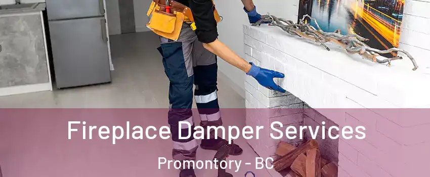 Fireplace Damper Services Promontory - BC