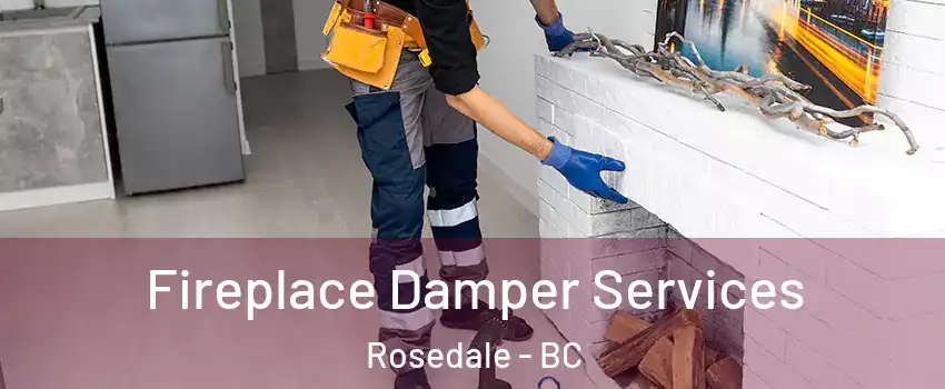 Fireplace Damper Services Rosedale - BC