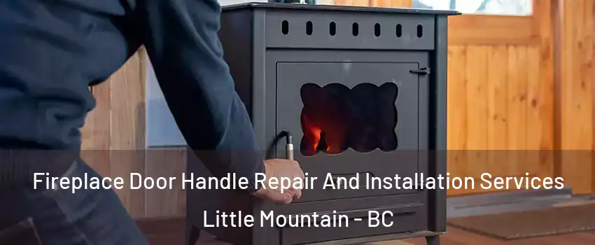 Fireplace Door Handle Repair And Installation Services Little Mountain - BC
