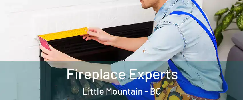 Fireplace Experts Little Mountain - BC