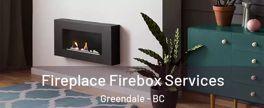 Fireplace Firebox Services Greendale - BC
