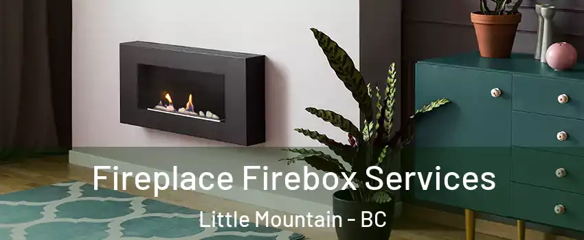 Fireplace Firebox Services Little Mountain - BC