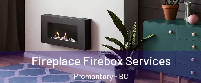 Fireplace Firebox Services Promontory - BC