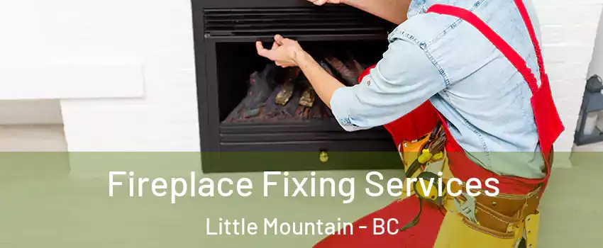 Fireplace Fixing Services Little Mountain - BC