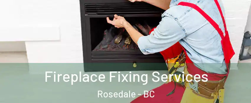 Fireplace Fixing Services Rosedale - BC