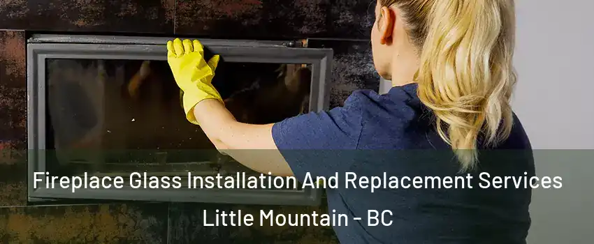 Fireplace Glass Installation And Replacement Services Little Mountain - BC