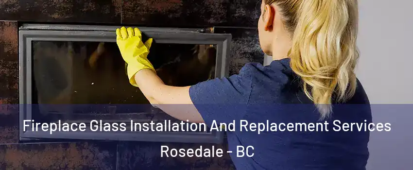 Fireplace Glass Installation And Replacement Services Rosedale - BC