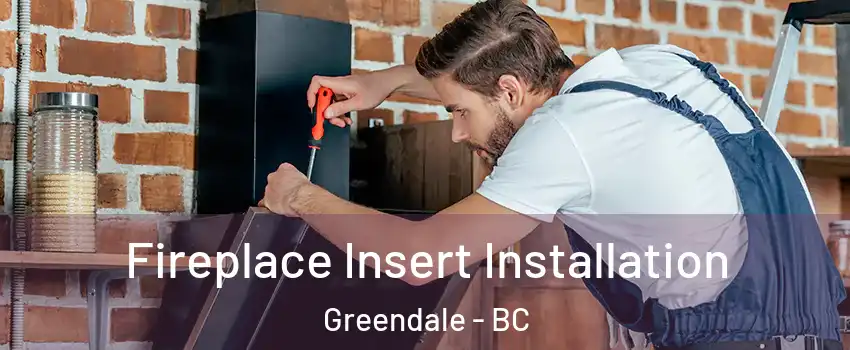 Fireplace Insert Installation Greendale - BC