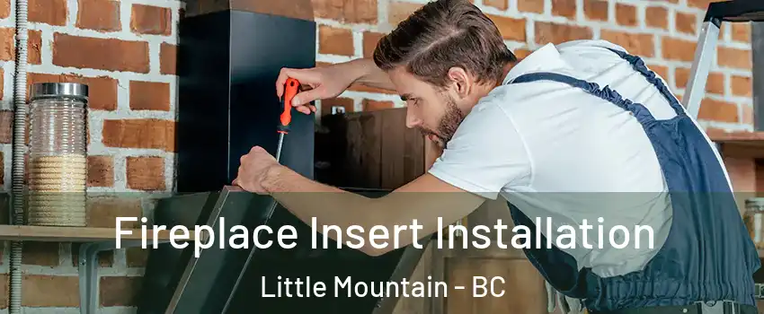 Fireplace Insert Installation Little Mountain - BC
