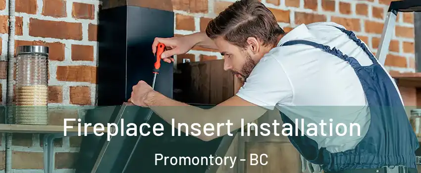 Fireplace Insert Installation Promontory - BC